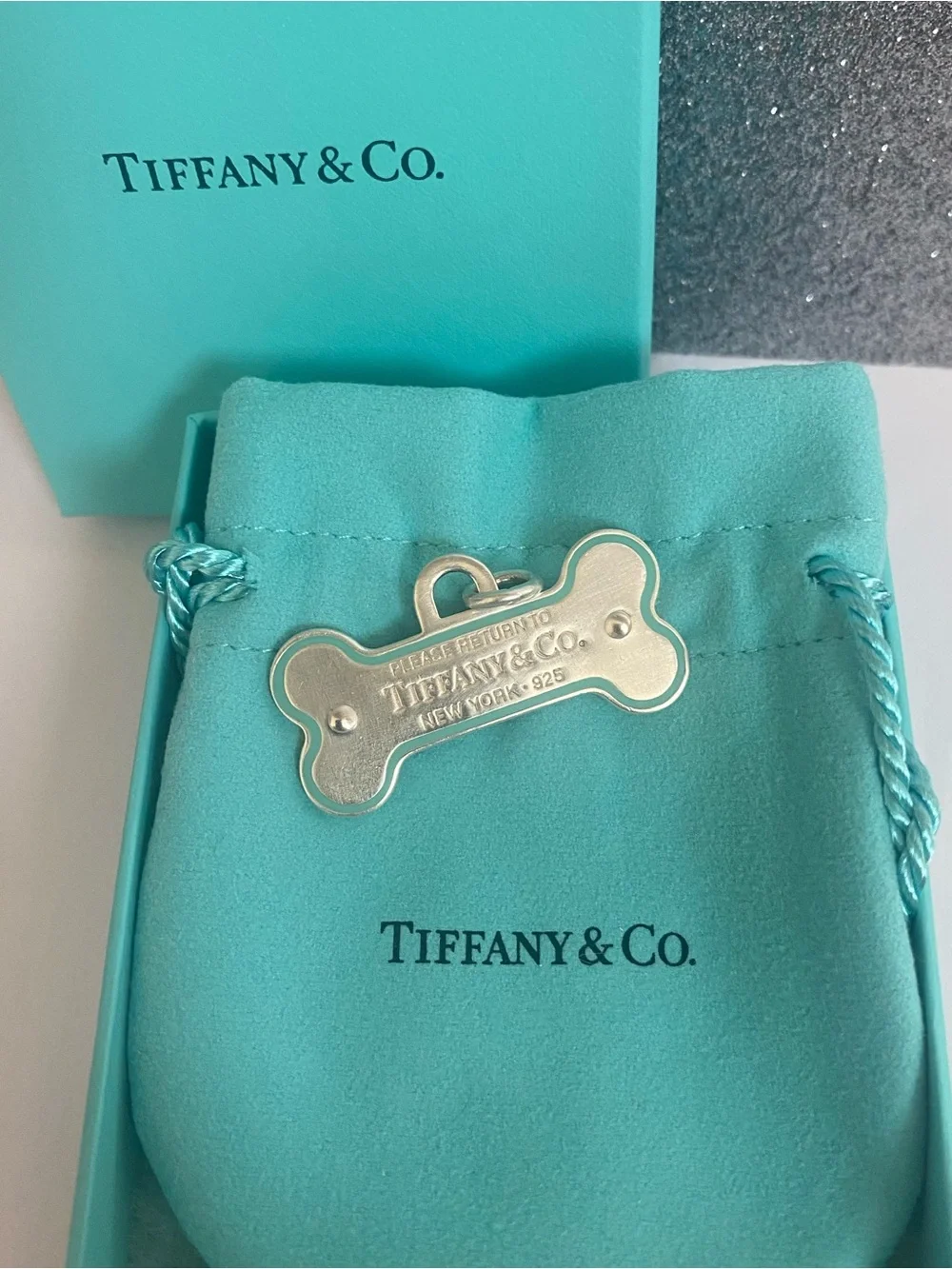 Tiffany & Co. Silver Blue Outline Dog Bone